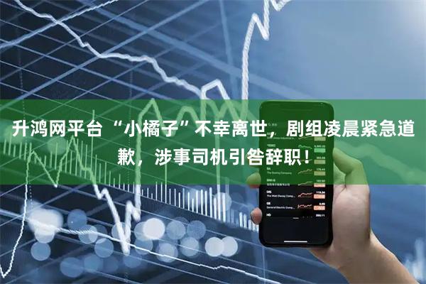 升鸿网平台 “小橘子”不幸离世，剧组凌晨紧急道歉，涉事司机引咎辞职！