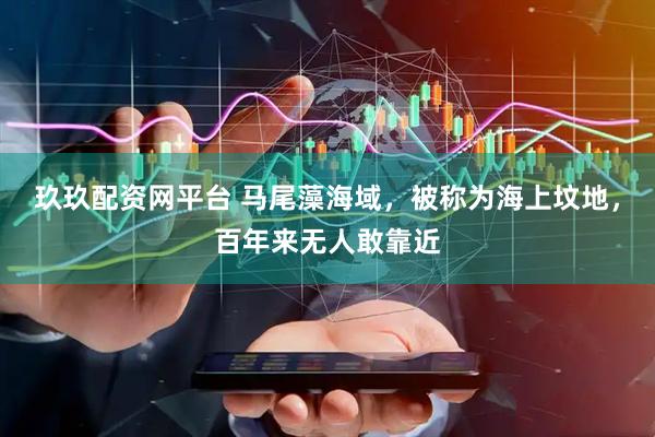 玖玖配资网平台 马尾藻海域，被称为海上坟地，百年来无人敢靠近