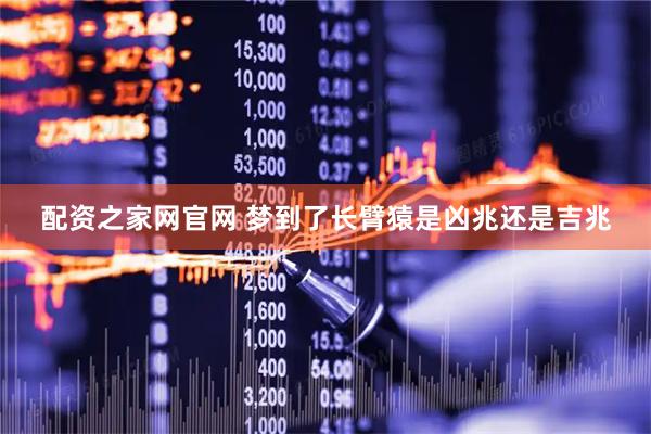 配资之家网官网 梦到了长臂猿是凶兆还是吉兆