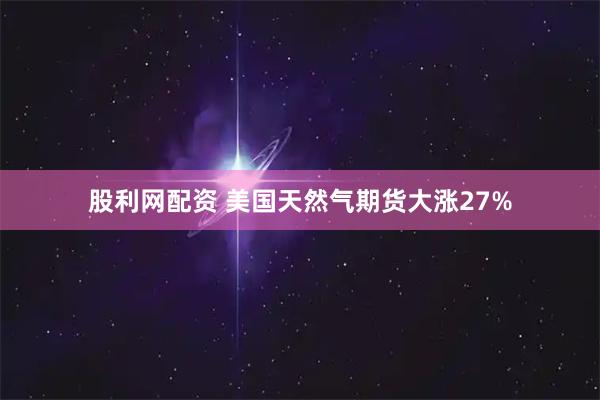 股利网配资 美国天然气期货大涨27%