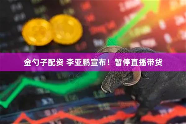 金勺子配资 李亚鹏宣布！暂停直播带货